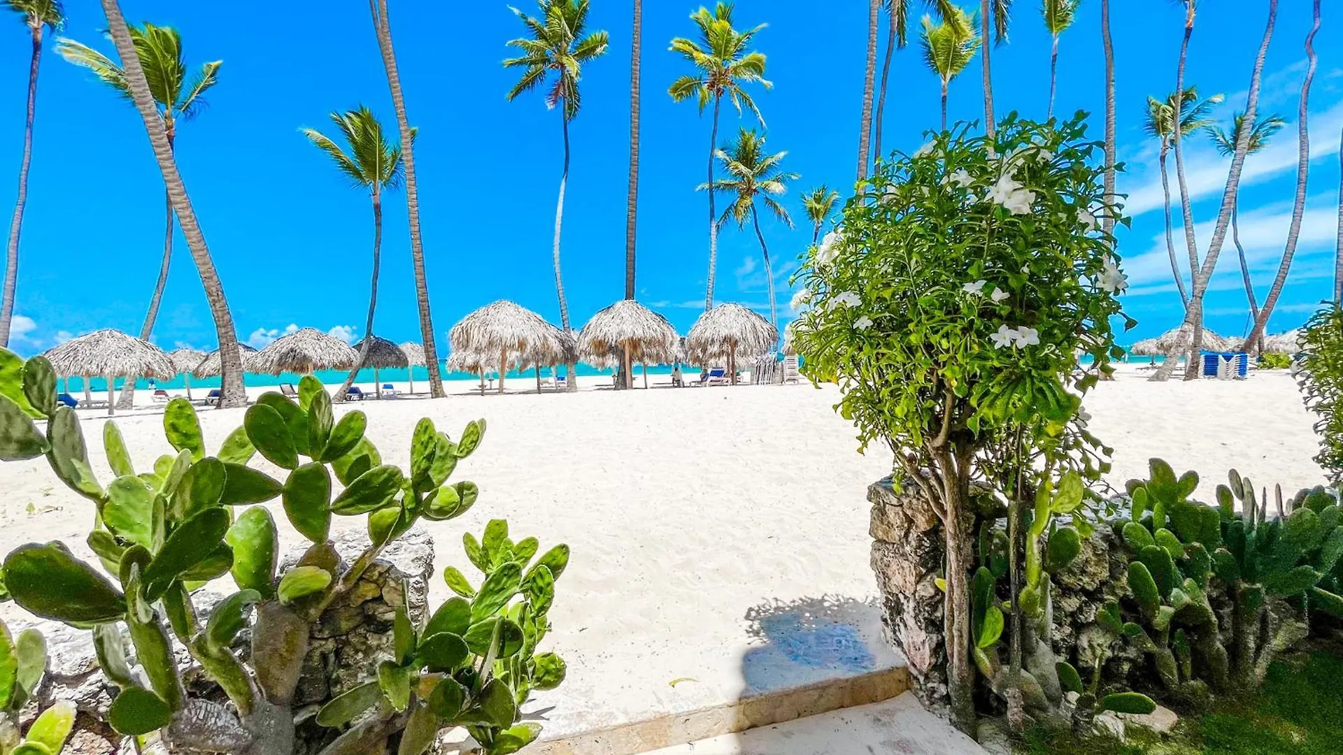 Los Corales Casas Del Mar Bavaro Ocean & Garden View Hotel Bavaro Beach Club & Spa location